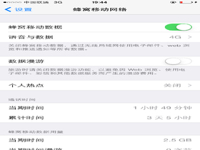 iOS8.3开始支持手动切换2G 3G 4G网络