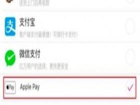 使用Apple Pay进行App内支付