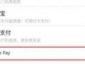 使用Apple Pay进行App内支付