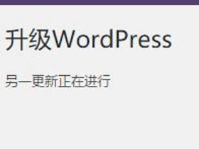 升级Wordpress时提示