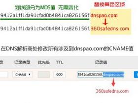  360 Website Guardian Transfer Domain Name CNAME Value Change dnspao.com Stop Using