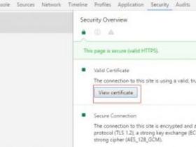 Chrome浏览器查看SSL证书信息
