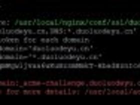  LNMP failed to apply for universal domain name SSL certificate: Error add txt for domain: _acme challenge